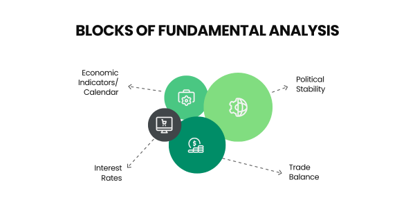 Several key factors are the building blocks of fundamental analysis in forex.