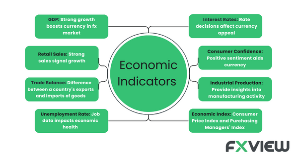 9 Economic Indicators in Forex