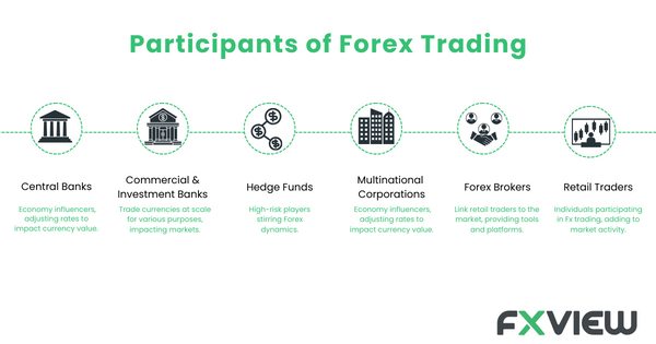 Check out the several participants in the forex market.