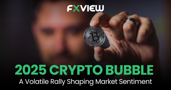 2025 Crypto Bubble: A Volatile Rally Shaping Market Sentiment